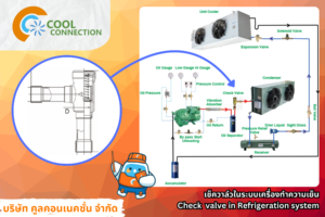เช็ควาล์ว,check valve